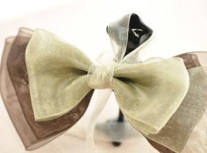 KG001雪紗緞帶ORGANDY RIBBON